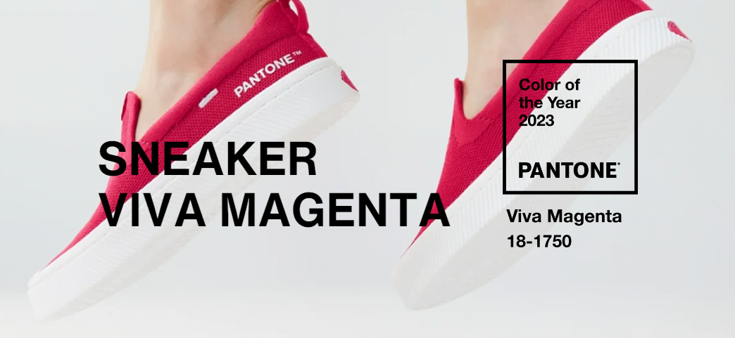 Collaborations Cariuma 1